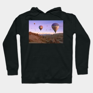 Visiting another planet Hoodie